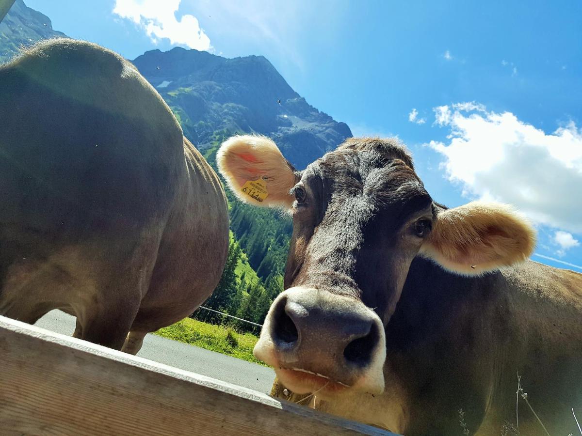 Gasthof Auerhahn Lech am Arlberg Dış mekan fotoğraf